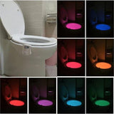 Toilet Night Light (2 Pack)